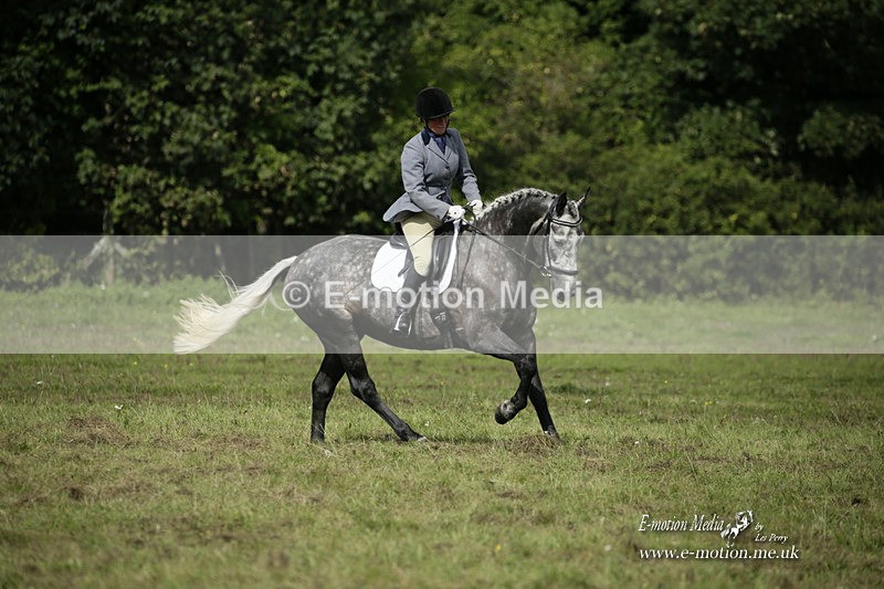 BVRC 120921 433 - Bourne Valley Riding Club UA Dressage & Show Jumping 12/09/21