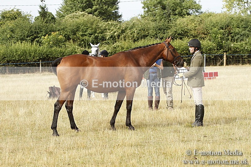 _BS_0517 - BVRC Show 2018 Ring 3