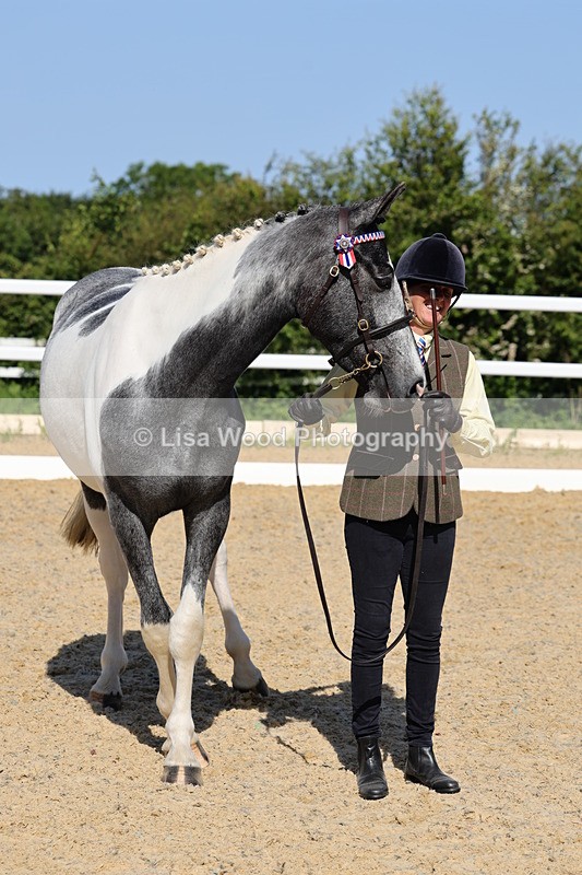 1X9A0806 - Class 4: Youngstock 1, 2, 3 year old to exceed 153cm