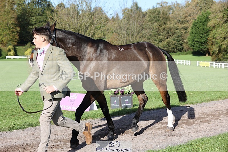 241027-100817-15714 - 406-Harvey.Crocker-THE.NIGHT.TRAVELLER