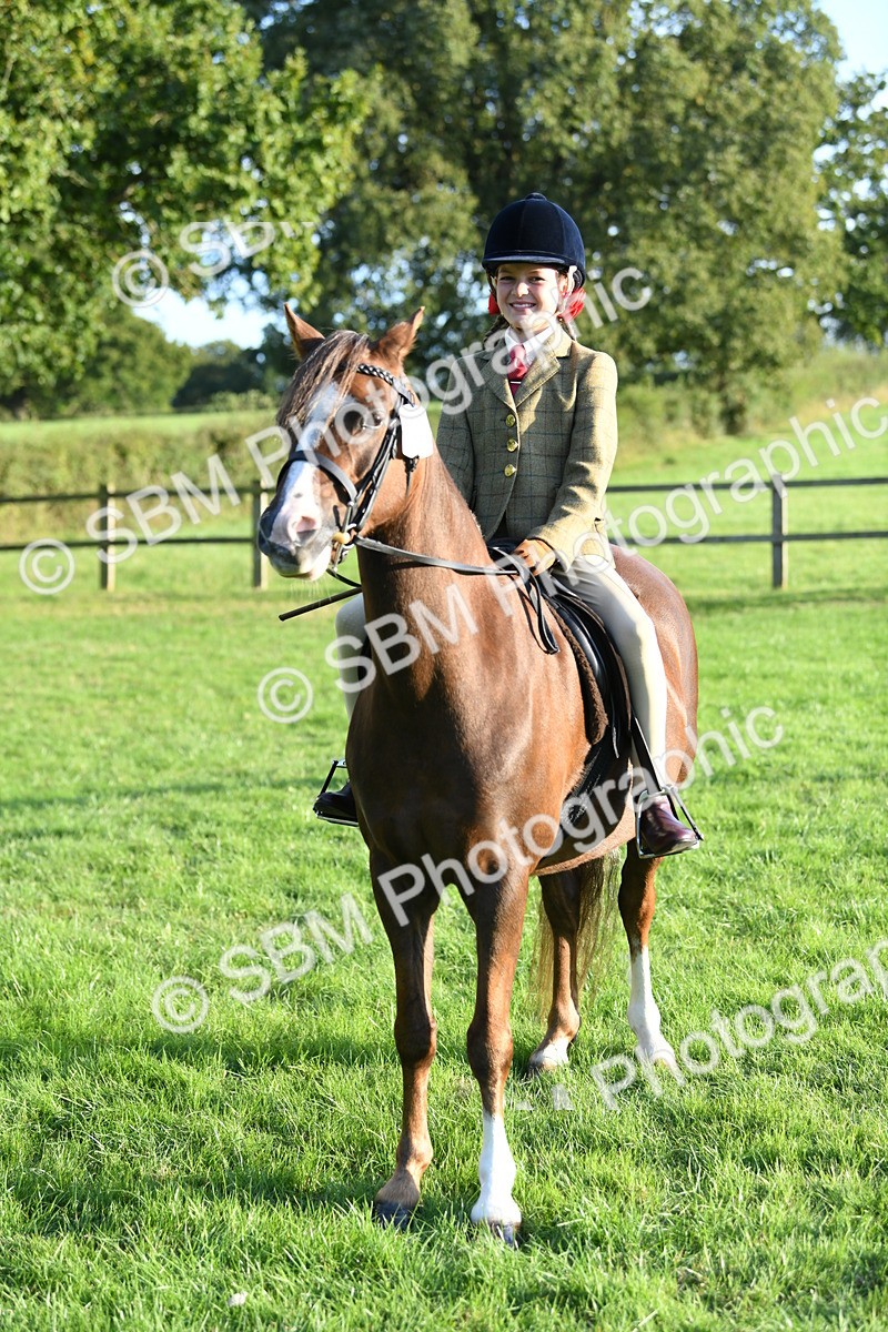 SBM_54135 - S23 - 1st Ridden Mountain & Moorland Pony