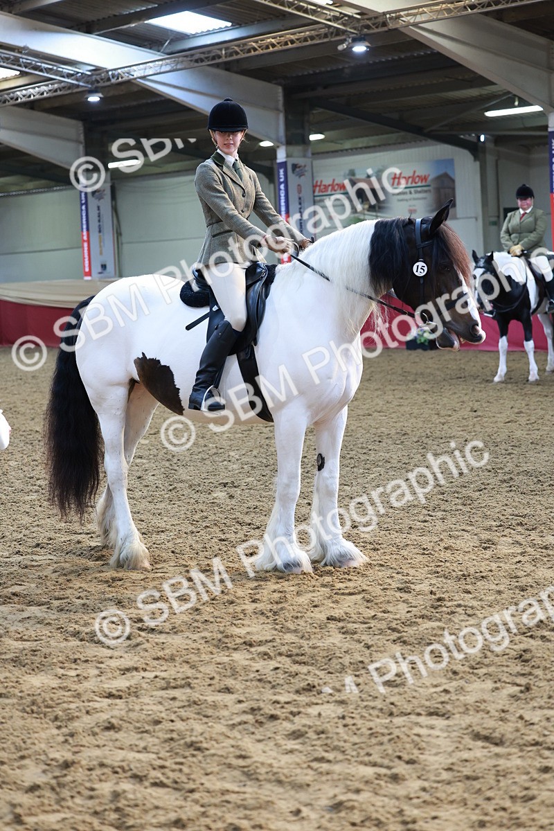 SBM_11952 - Class 102 - Equitation (Best Rider) Adult