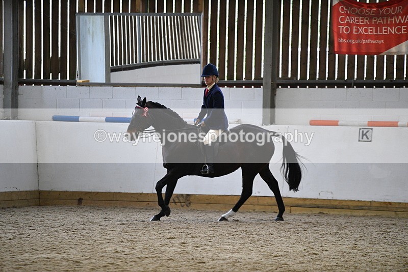 WJ5_7847 - Class 13 Ridden Part Breed