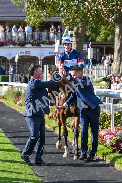 240824-Race 7-Sir Busker-2060 - Race 7 5.20pm Sky Bet Finale Handicap