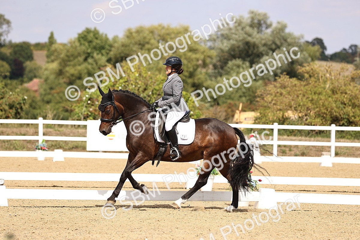 SBM_015026 - Class 6 - Elementary 5