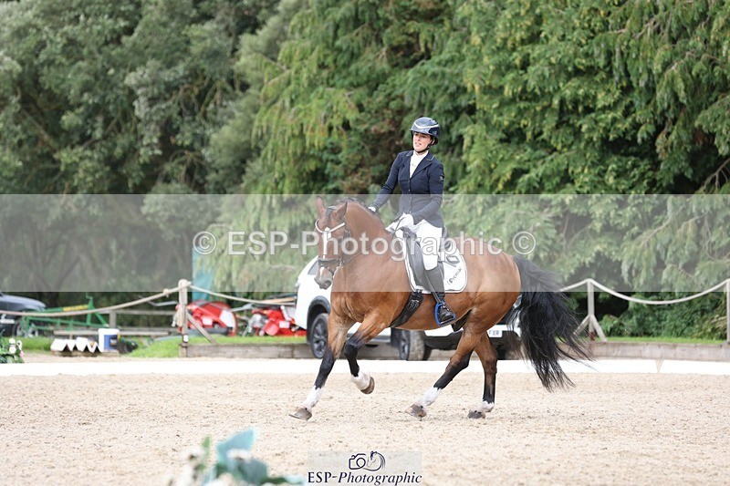 230812-151022-05066 - Cls 5 Novice Bronze 15.00 to End