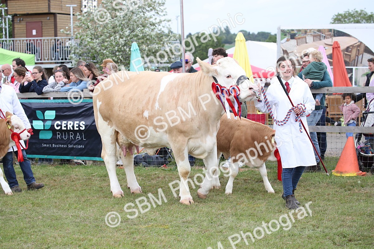 SBM_07853 - Grand Parade