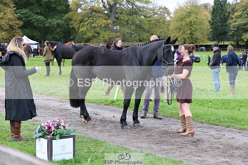 251026A-104232-23204 - F-413-Lucy.Jowett
