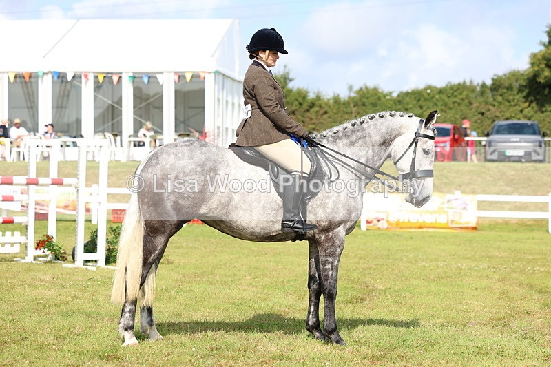 3E7A9182 - Class 3: Rising Star S/L Hunter