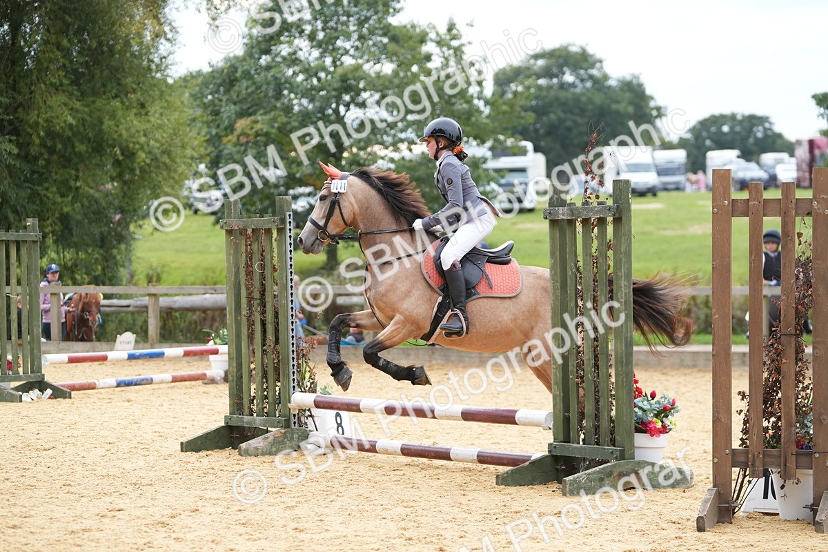 SBM_74754 - J4 - Mini Tour Junior Pony 45cm Championship