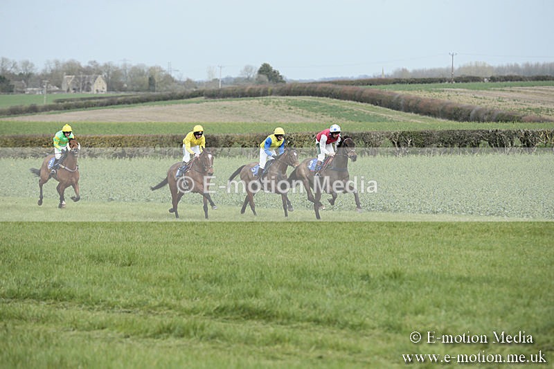 PtP 230319 29 - VWH Hunt Siddington Point-to-Point Racing 23/03/19