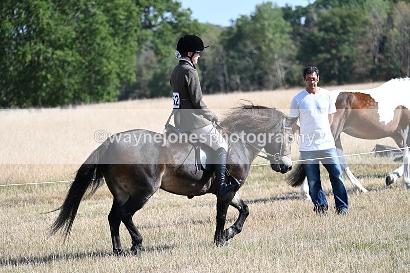 WJ7_2916 - Class 8 Ridden Tack & Turnout