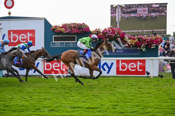 240824-Race 3-Breege-1453 - Race 3 3.00pm Sky Bet City Of York Stakes