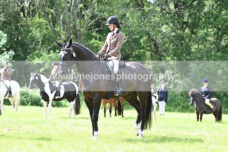 WJ7_1463 - Class 11 Condition & Turnout