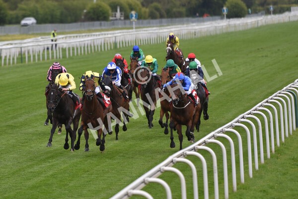 yr14052021r3-19 - Race 3 2.40pm The Matchbook Best Value Exchange Stakes