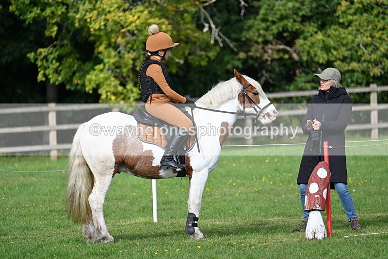 WJ7_3907 - 40cm Time 10:26 to 10:42