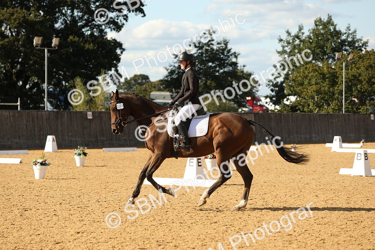 SBM_26807 - D17 - Grand Tour Championship - Novice 27