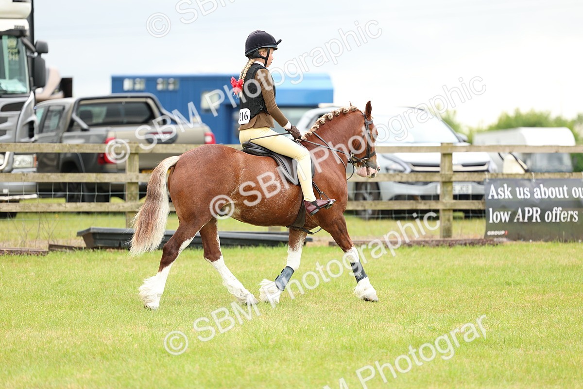 SBM_10361 - Class 44-45 - LIHS BSPS Open Nursery and Cradle Stakes