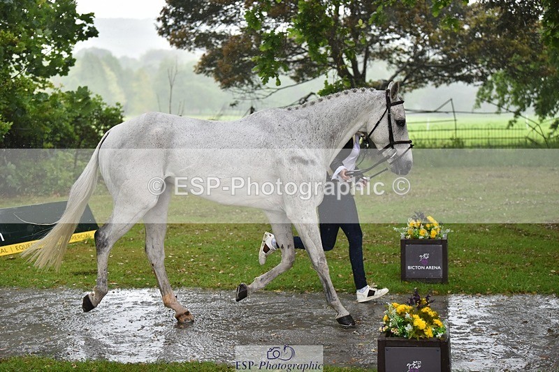 240522-151720-00227 - 317-FILIPO-Piggy_March