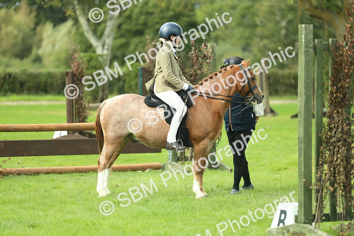 SBM_44660 - S31 - Working Hunter Pony