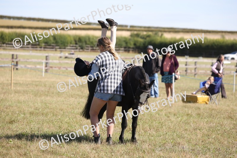 20260906-2207 - Class 16 - Family Pony