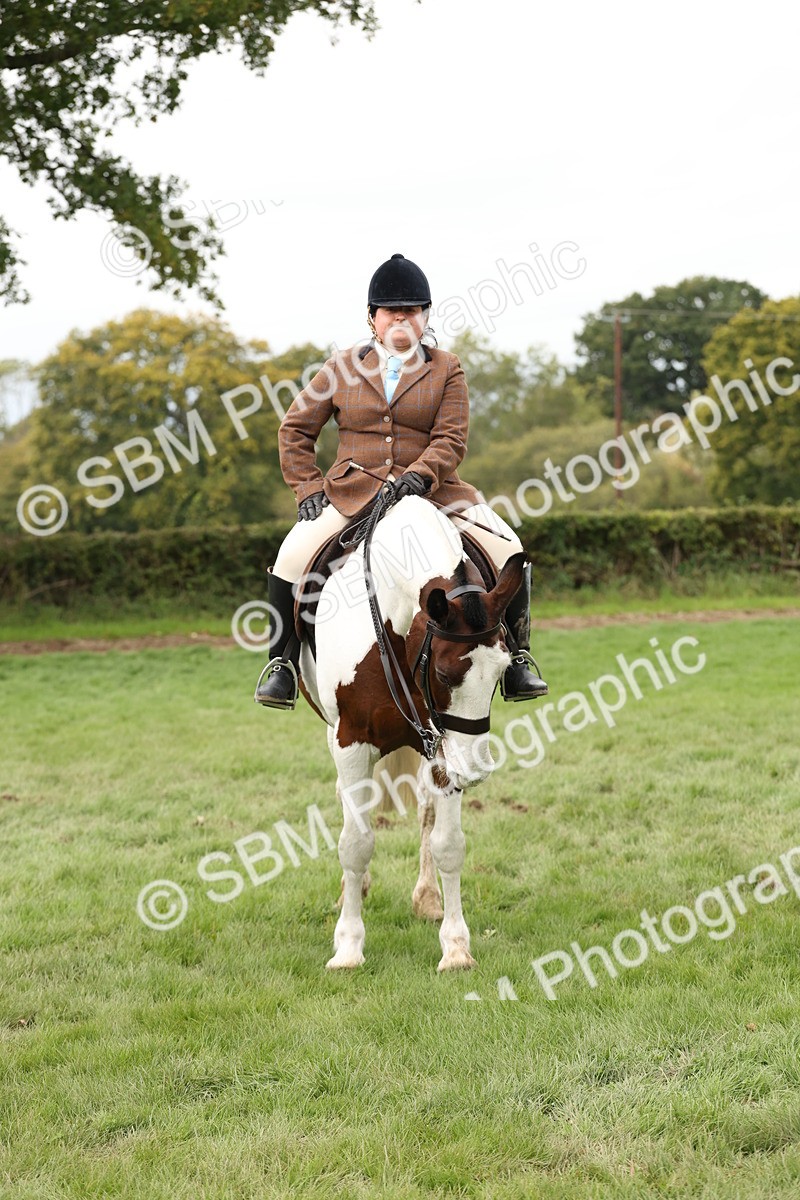 SBM_67279 - S67 - Piebald & Skewbald Horse Ridden