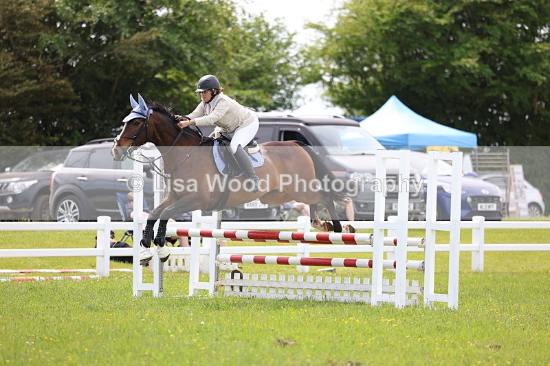 3E7A1457 - Class 13: Senior British Novice/90cm open