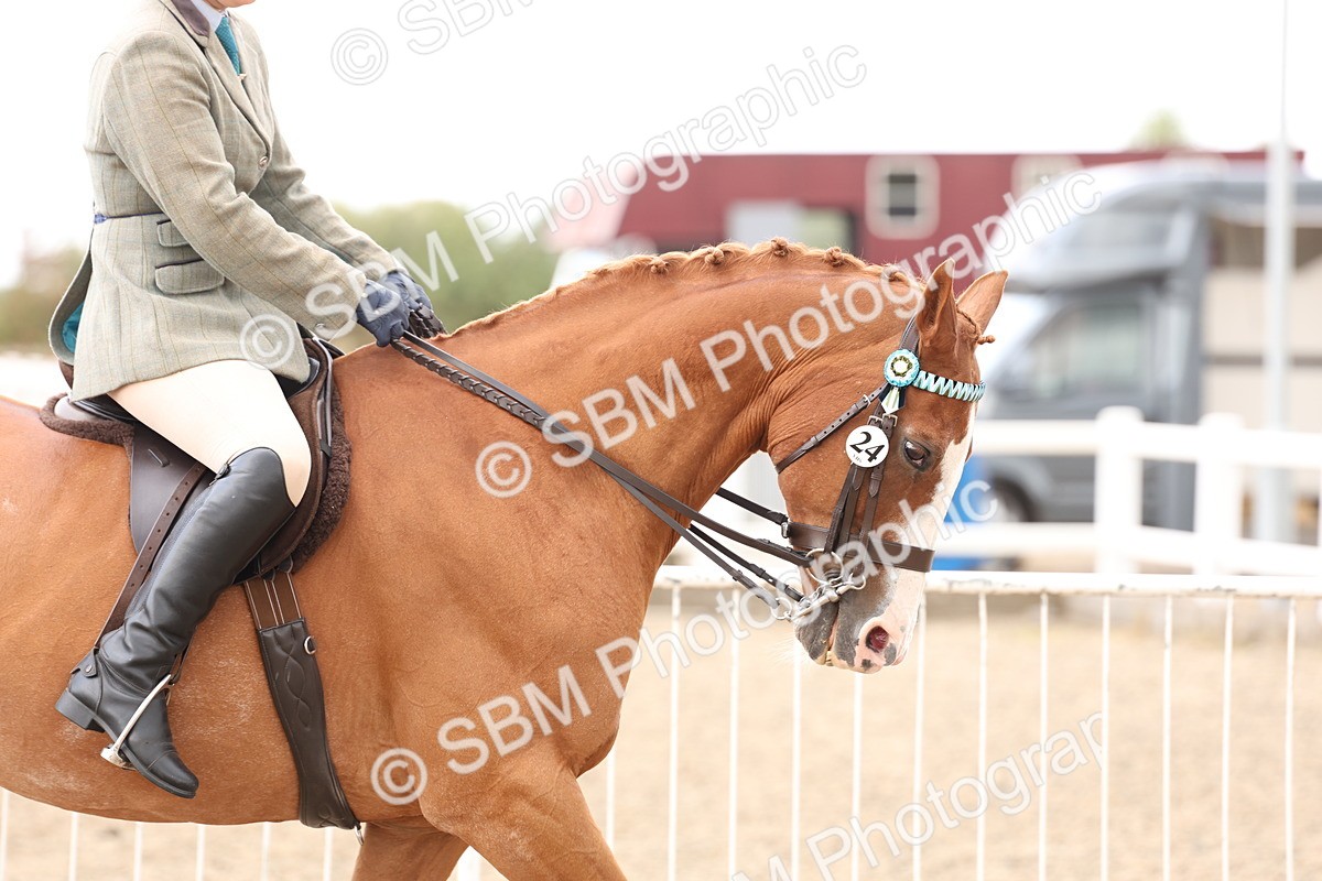 SBM_04165 - Class 54 - Riding Club Horse/Pony