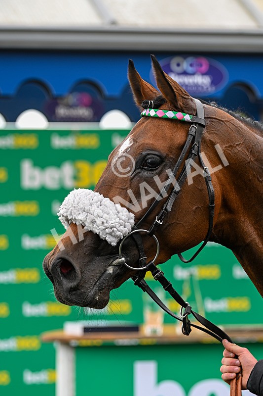 240525-Race 1-Tarriance-9753 - Race 1