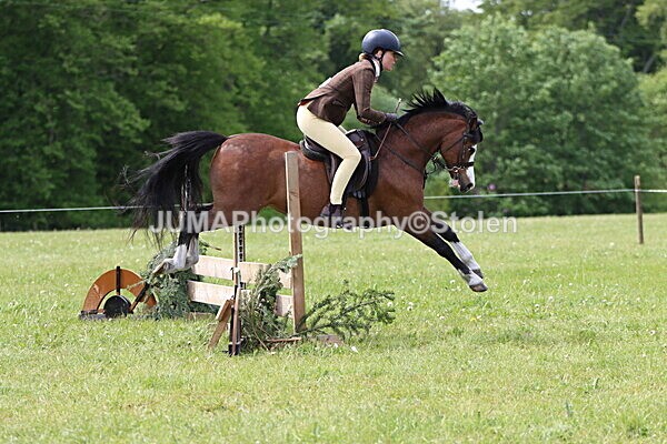 IMG_2899 - Working Hunter