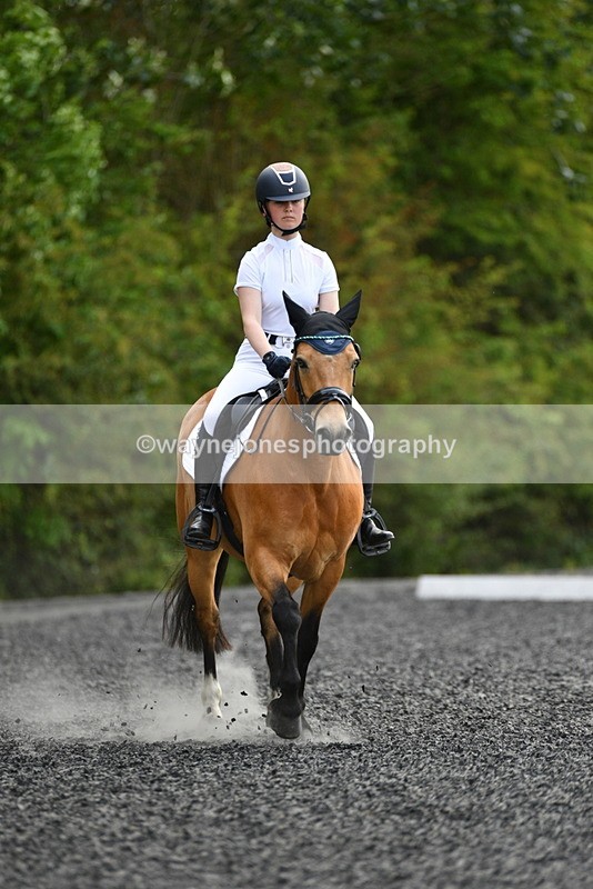 WJ5_1038 - Time 13:45 to 14:20