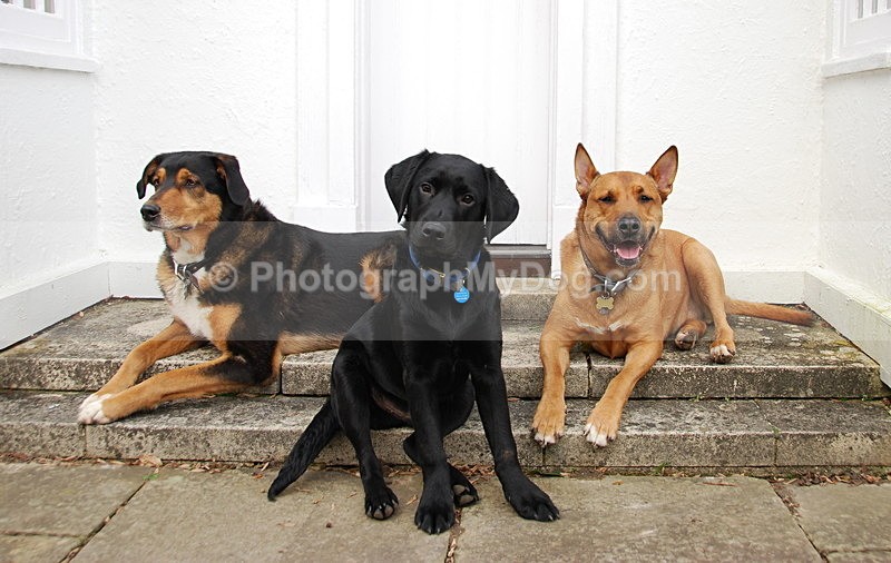  - Group Shots