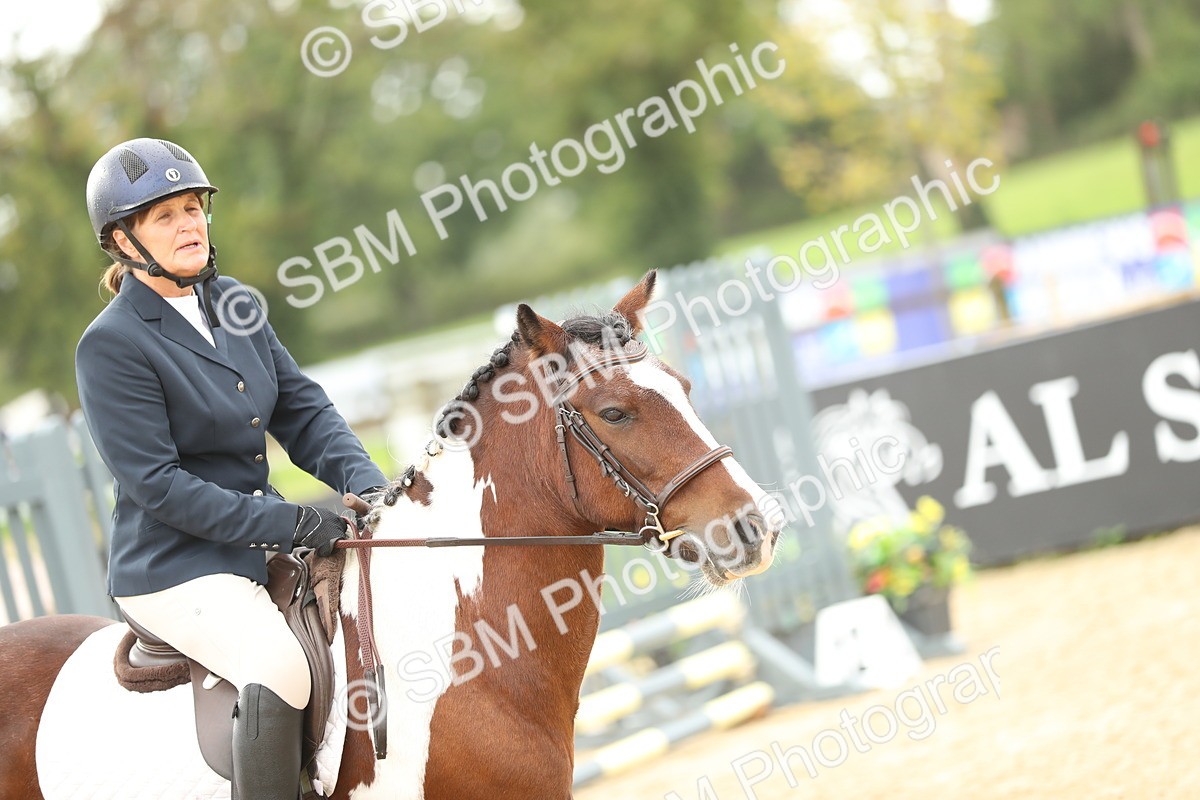 SBM_01986 - J34 - Veteran Rider 50cm
