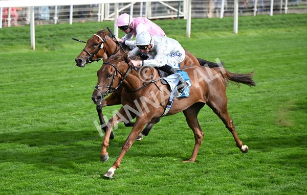 210825-182 Charlottes Web - Race 5 4.10pm British EBF & Sir Henry Cecil Galtres Stakes