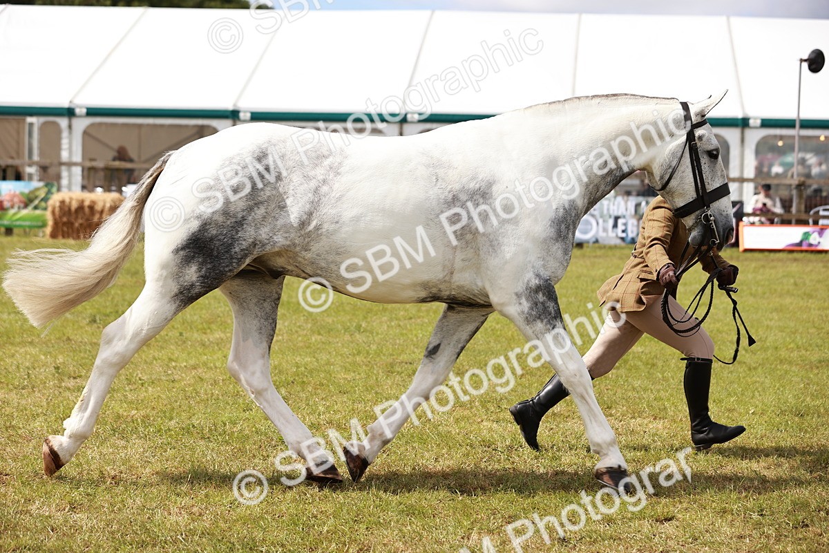 SBM_14060 - Class 85-87 - RIHS Cobs