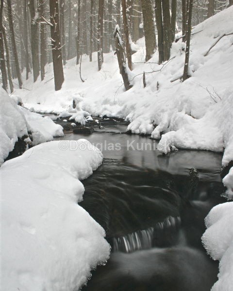 Blackwater - Fall and Winter