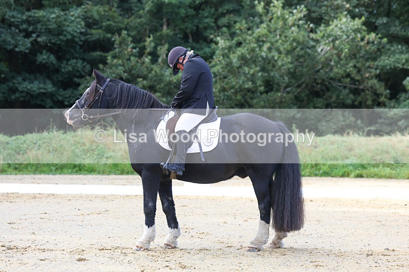 3E7A2352 - Class 1: Intro 4 2024 section A