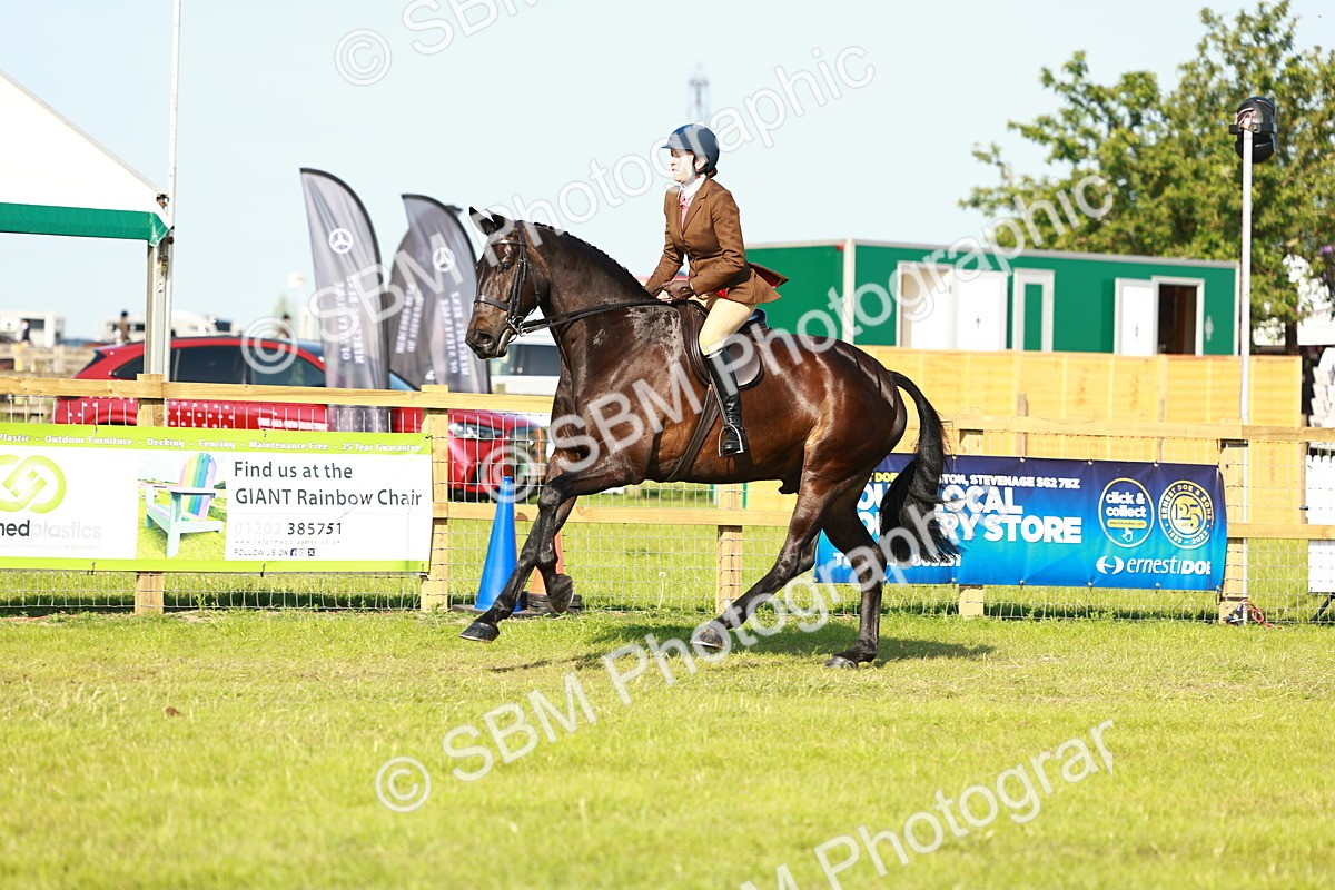 SBM_10918 - Class 66-69 - RIHS Ridden Hunters Inc Small Hunter