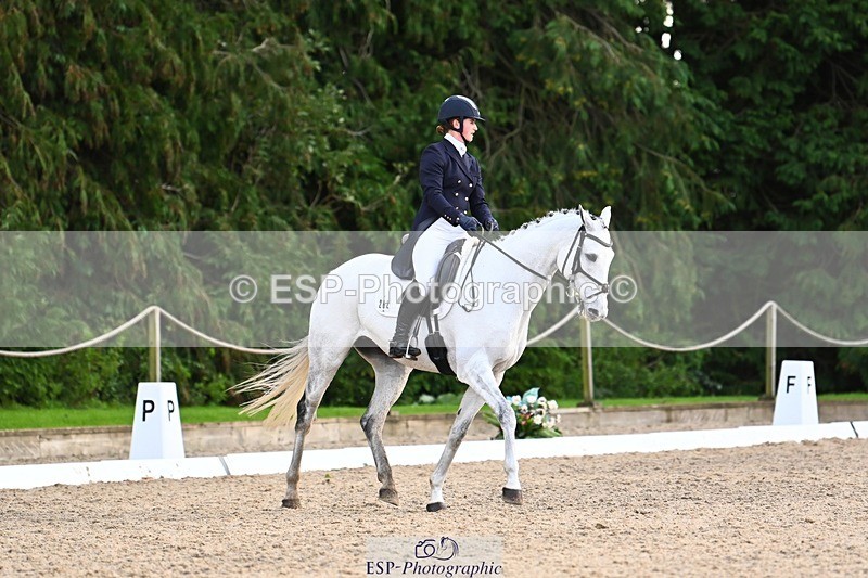 231021-160001-20987 - 262-GOOD.BOY.ALEX-Tara.Jefferies-DR