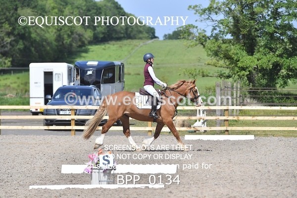 BPP_0134 - SHORT ARENA  MY QUEST PRELIM