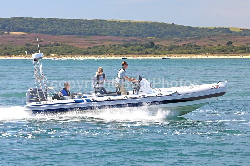 170813 ALCABE - RIBEYE 1Y3A4556 - RIBs, Tenders, Dories, Dinghies