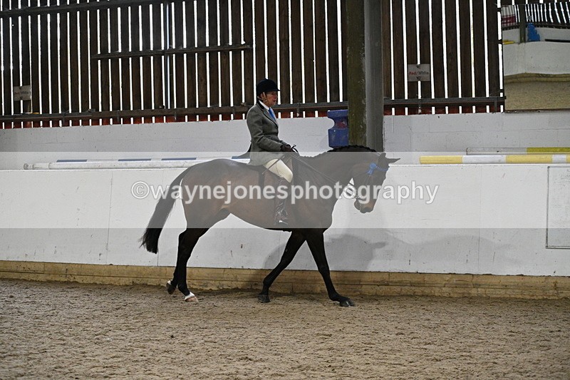 WJ7_3888 - Class 17 Ridden Cob