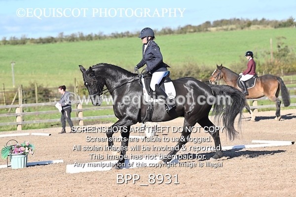 BPP_8931 - LONG ARENA