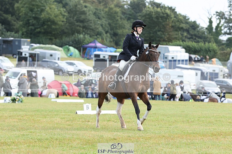 240824X-110618-26840 - D70 Section C and D 9.30 to 11.00