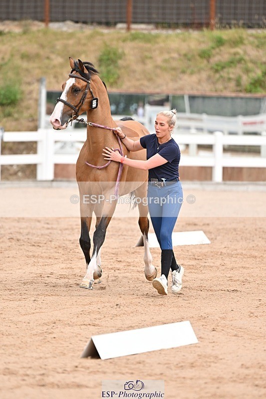 250716-151228-01766 - Trot Up 2.30 to 3.30