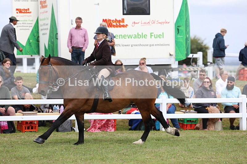 3E7A2044 - Class 10: Open Cob