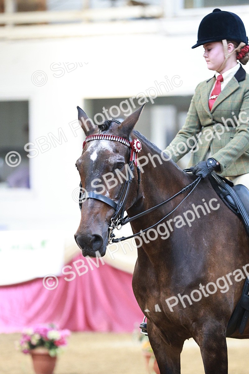 SBM_07240 - Class 10R - Regional Ridden Diamond