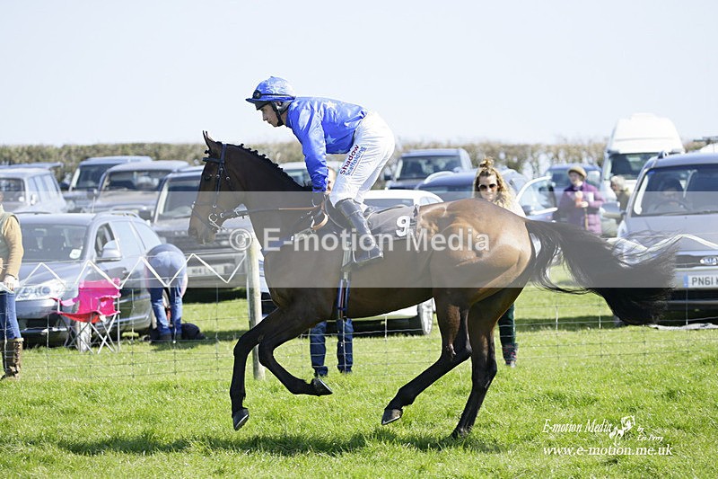 PtP 190322 159 - Wilton Hunt PtP Milborne St Andrew 19/03/22