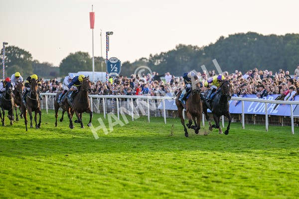 111025-Race 7-Lets Dream-9079 - Race 7 Coral 'Committed To Safer Gambling' Finale Handicap at York