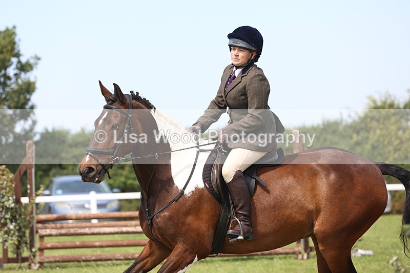 JPP_3633 - Class 23: Working Hunter 80cm